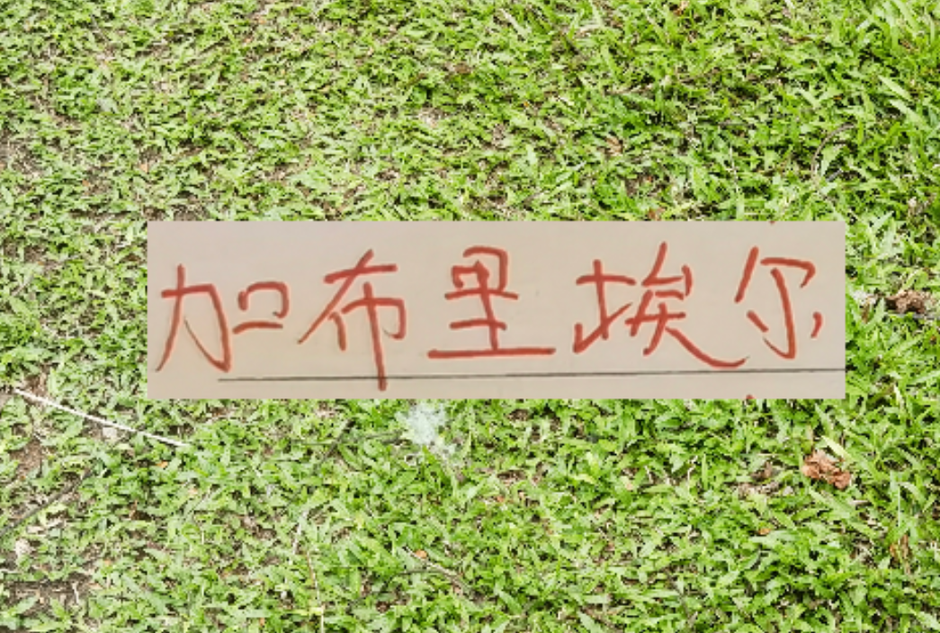 九游娱乐app下载-拦不住申花降维打击！加布里不管咋样也是 低配版海港巴尔加斯